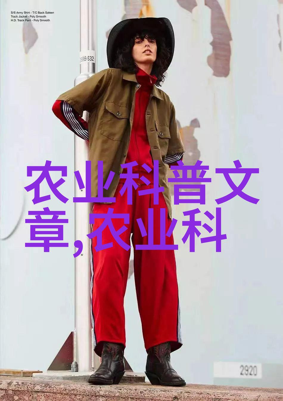 数字媒体艺术设计专升本考验视觉编码与创新思维从二维平面到三维空间的艺术探索