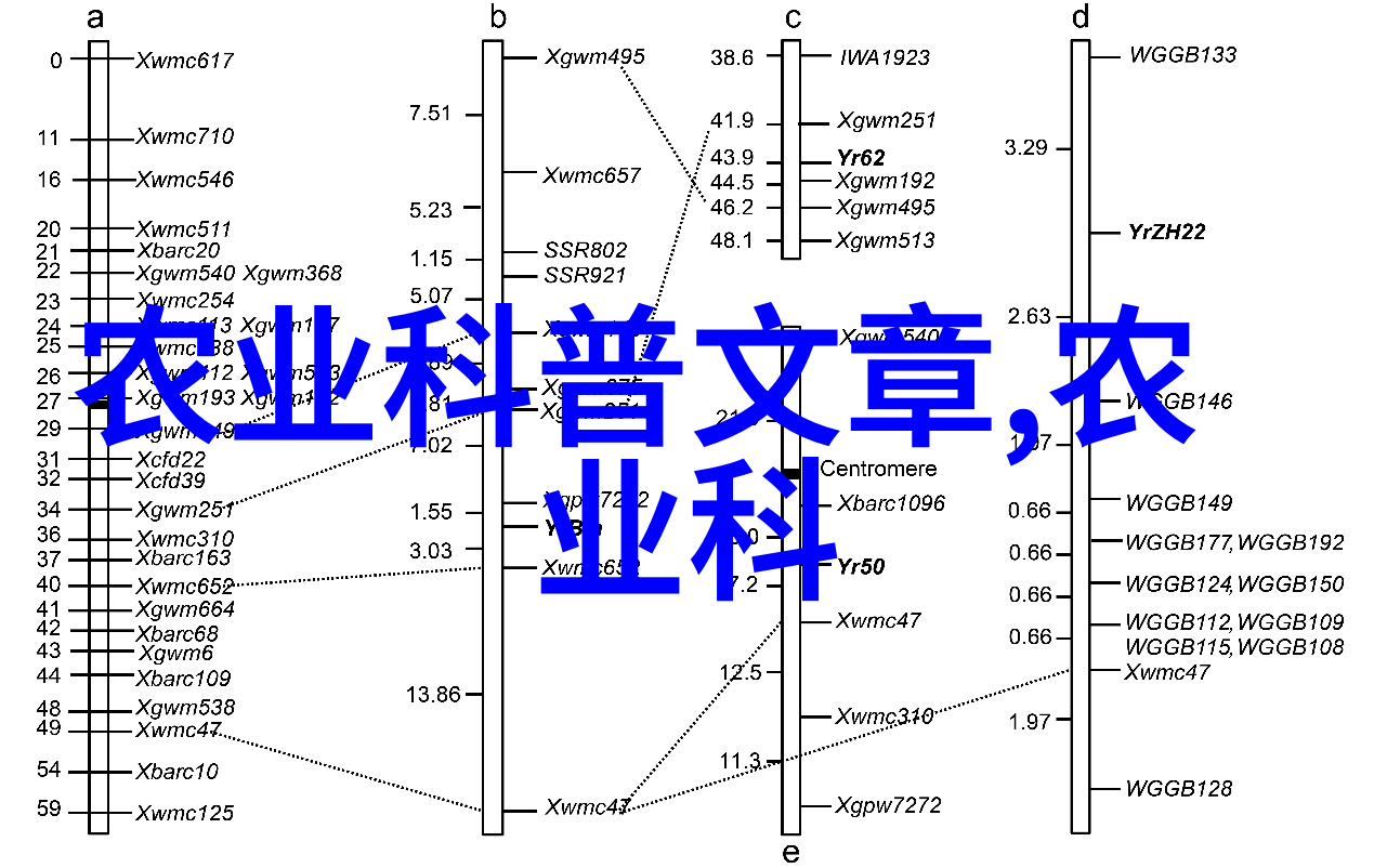 扑克牌下的女儿痛楚与叫嚷的无声对弈