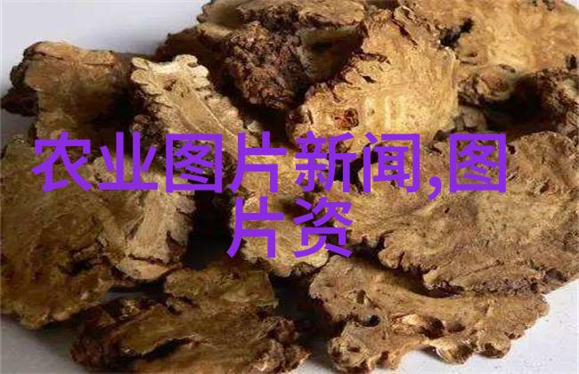 一年种菜时间表春季夏季秋季冬季的种植计划