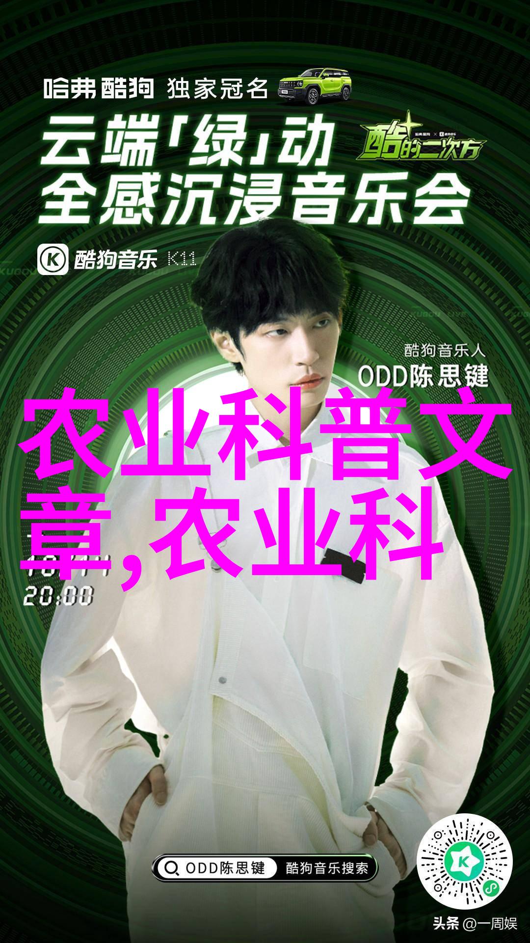 盆栽花卉批发哪里便宜 - 绿意盎然的选择寻找性价比高的盆栽花卉批发商