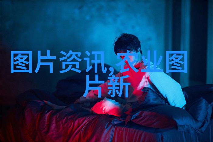 传动效率的提升者皮带机在现代工业中的应用