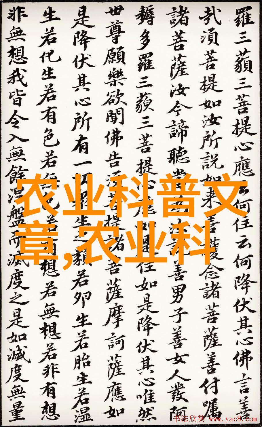 茶香绕肺滋补身心揭秘正确的茶叶功效