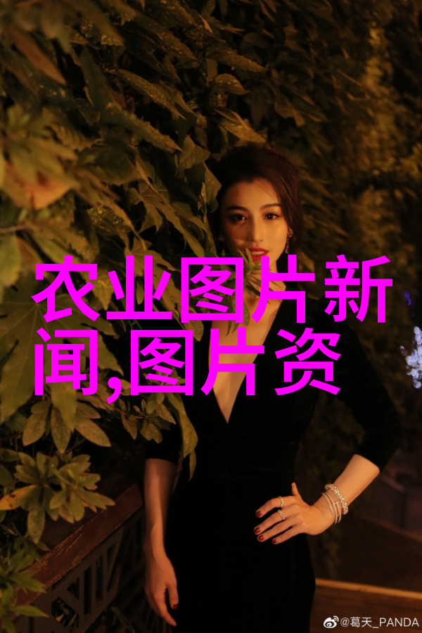 中药材种植合作企业专业的中草药种植和合作服务提供者