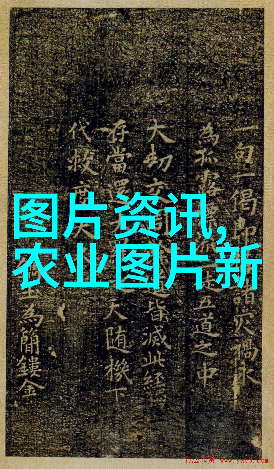 绿意盎然的选择超市蔬菜新鲜价格清单