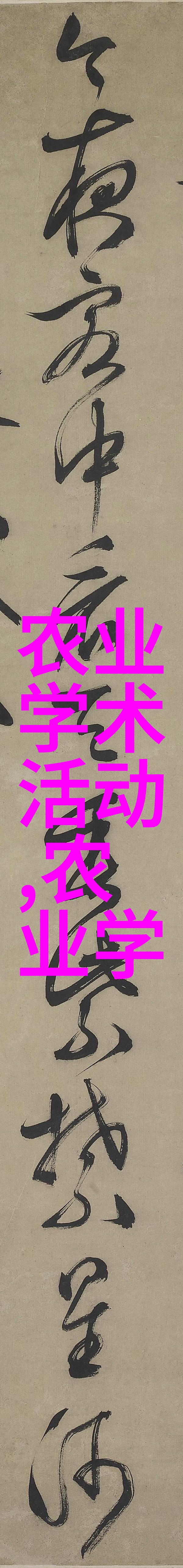 深度探究揭秘再往里面点啊对就是这视频的背后故事