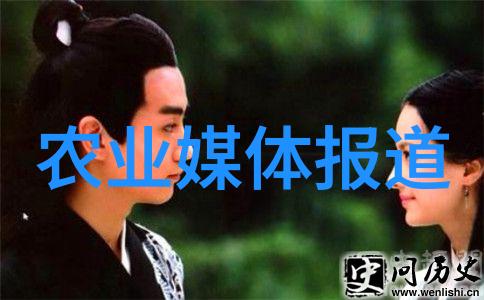民法典的地位与意义探究法律体系的基石与社会发展的动力