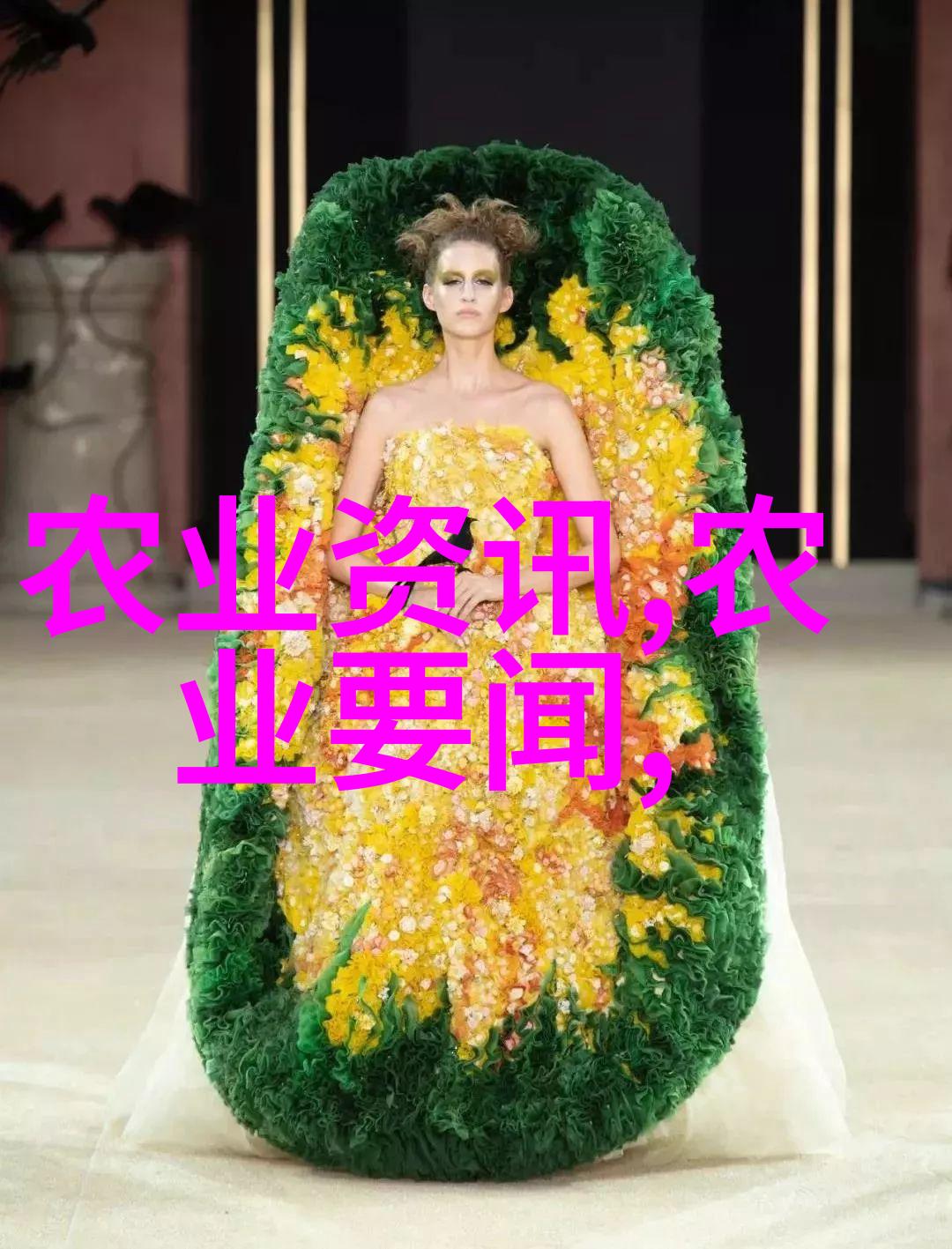 从零到英雄如何种植高价值药材