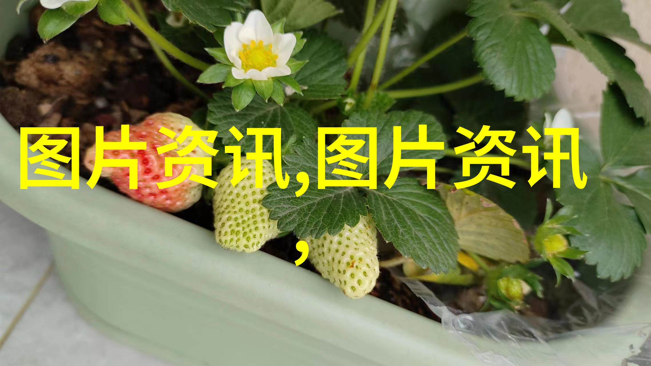 一厘米的阳光我的小确幸运