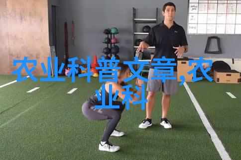 玉石俱焚金色烘焙下的乌龙tea艺术作品展览录影与摄影指南