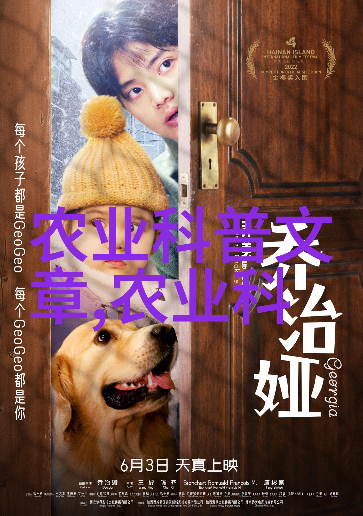 小户型大植物室如何利用空间进行高效的种植回收