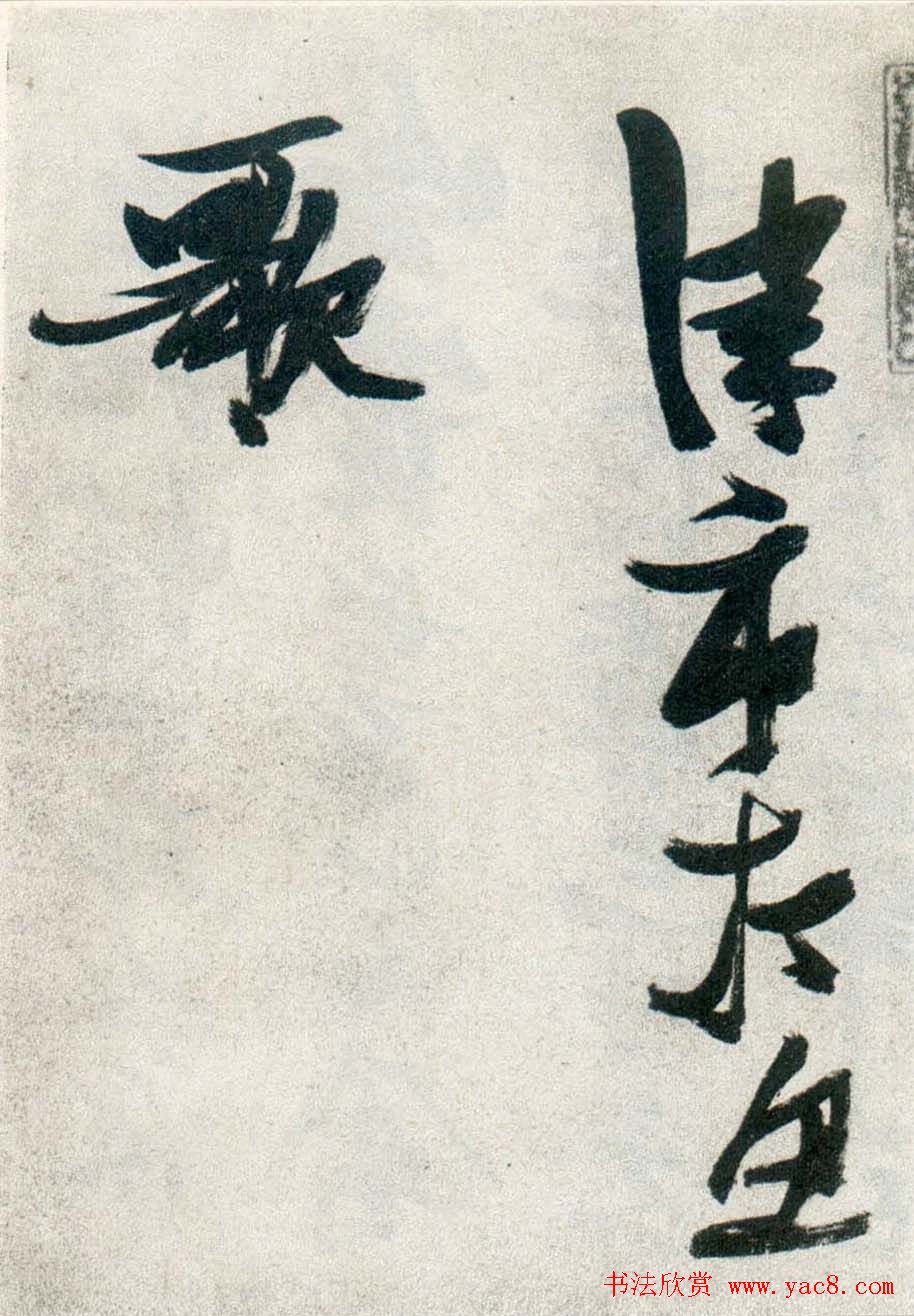 火焰中的舞者红美人的传说与魅力