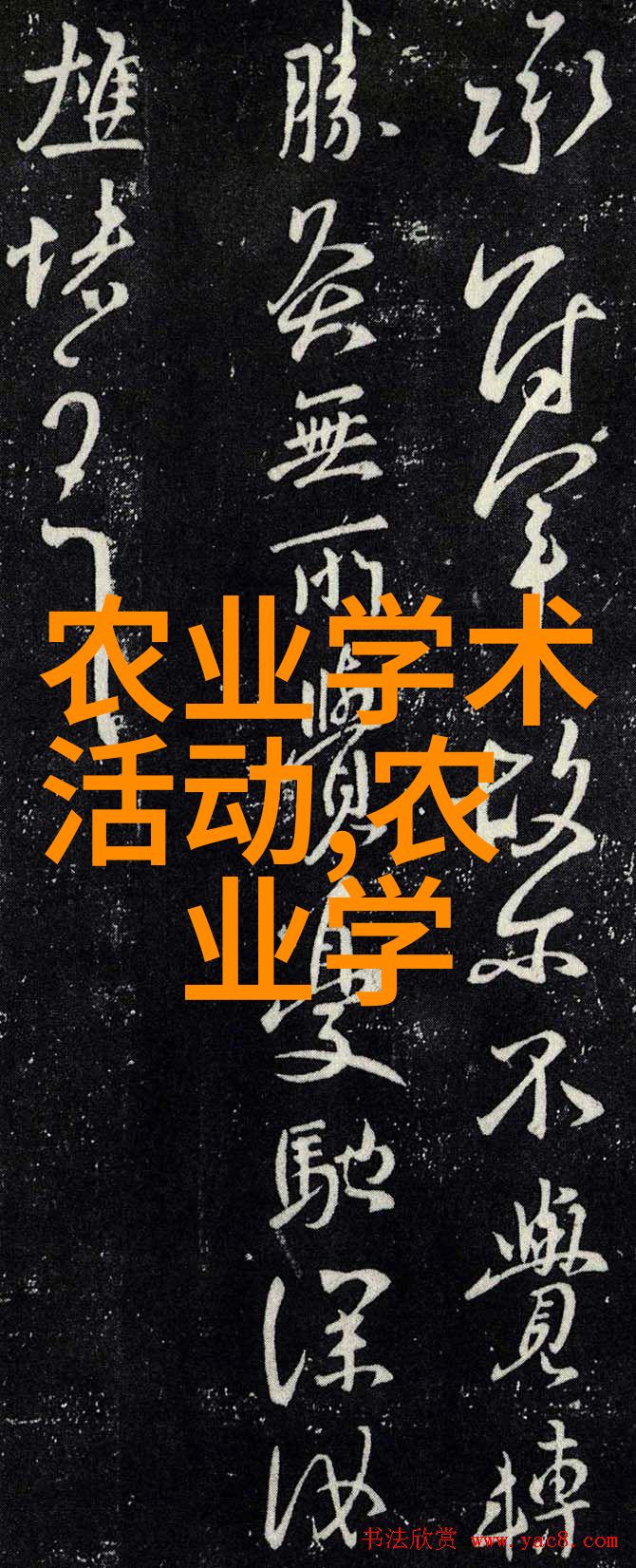 丰富多彩的水果和种子世界一览各类图片佳作