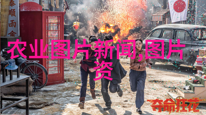 院落里的秘密花园