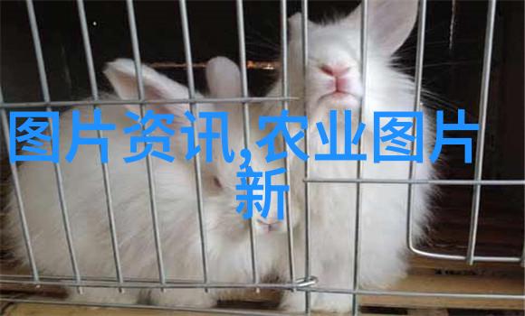 主题我来告诉你十大暴利种植行业你得知道这些钱不容易赚