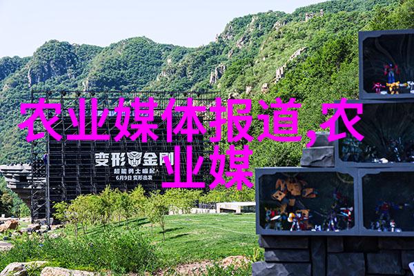 黄金香气深入研究黄花蜜的制作原料