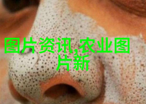 数字化时代下的土地管理卖农机平台的创新应用