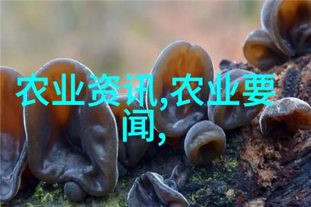 民法典2023未解之谜与隐秘的变革