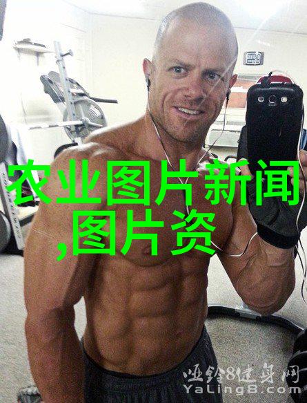 教育法规考试专题解析与答题技巧