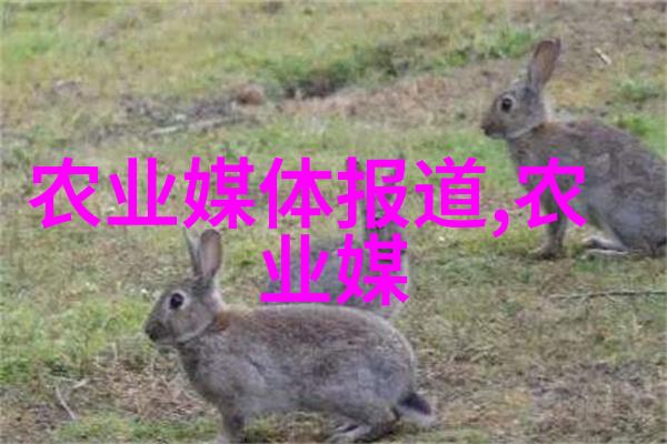 种植草药有什么药可以种我是怎么在家种出自己用的中药材的