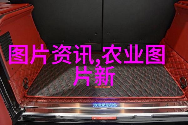 花卉种植技巧全解析从土壤调理到光照管理掌握每一步
