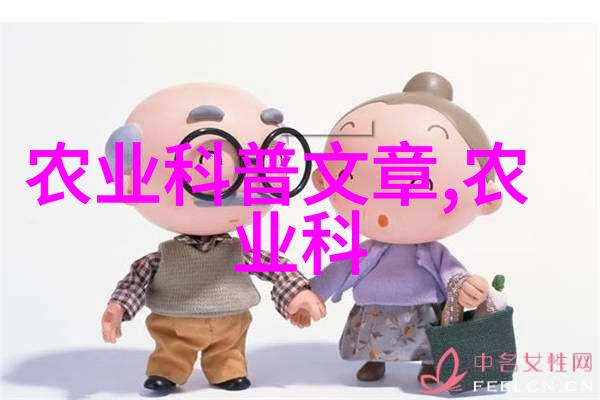 户外装饰灵感10个易于维护的盆栽植物推荐