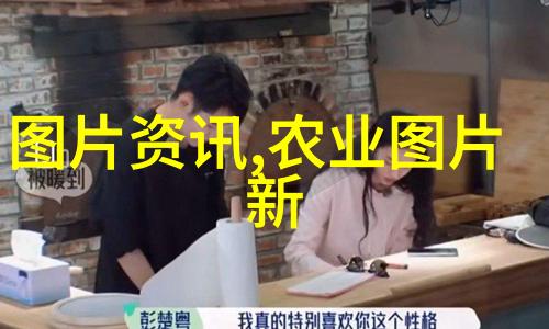 养蜂技术我是如何用这些小窍门让蜜蜂健康活到年终的