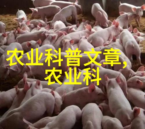 探秘古籍揭秘当年收益最高的药材及其珍贵之处