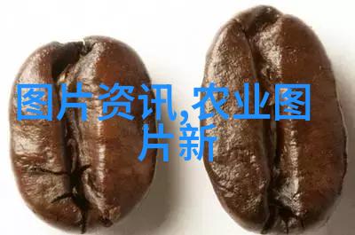 探索茶叶的多样性从绿茶到红茶再到乌龙与白茶的奇妙世界