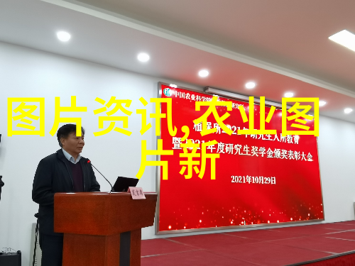 市场需求和价格如何影响10亩大葱的收入