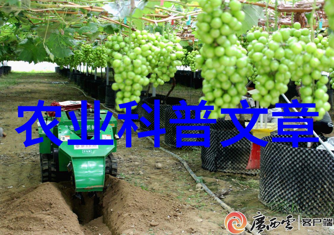 农业科普知识宣传材料_关于农业科普知识的活动_农业科普活动