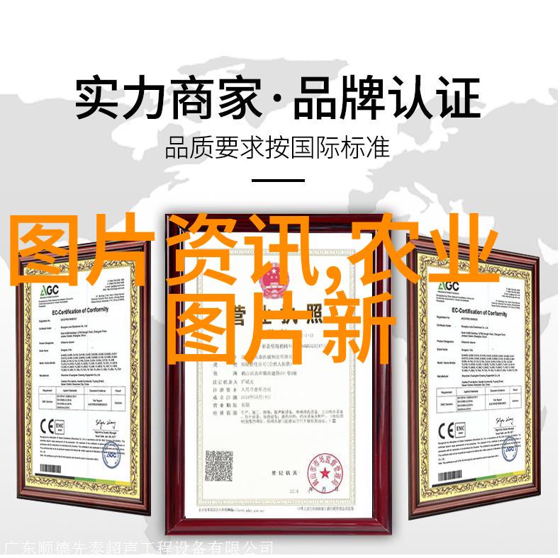 红河岸的秘密揭开同人小说背后的故事线索