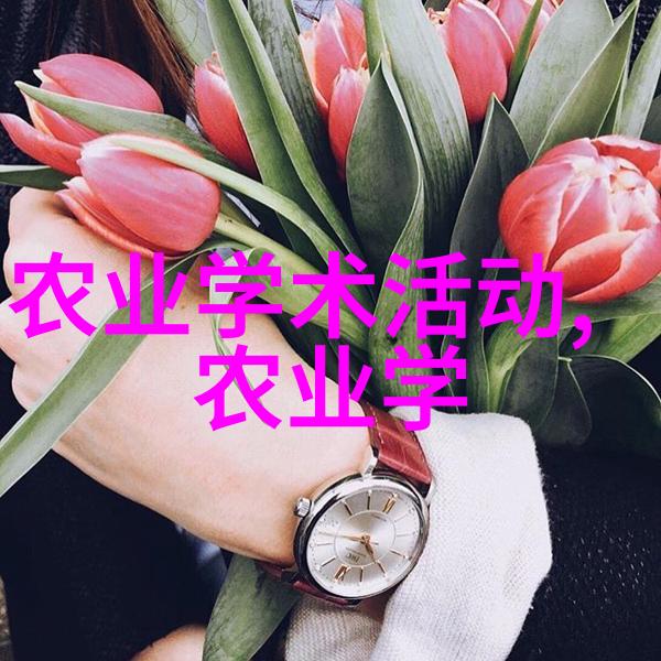 水果种子奇妙世界色彩斑斓的种子艺术画像