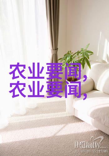 甜蜜守护者揭秘养蜂艺术全景