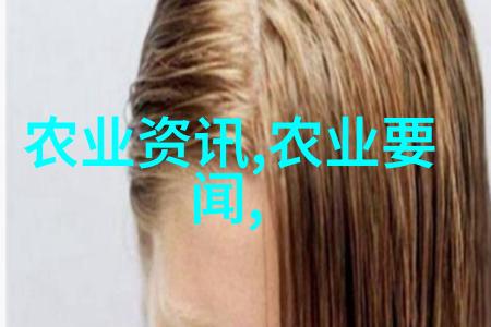 探索金线莲的自然生态镜头下的野性美丽