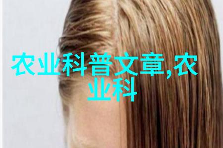 蜜蜂专用工具大全-集结精华助力花园里的忙碌小工人