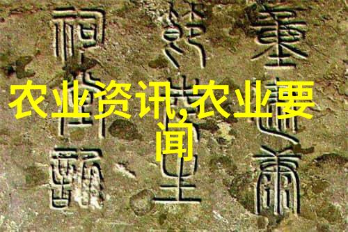 冬日蔬菜之谜大棚里种什么才能抵御寒风