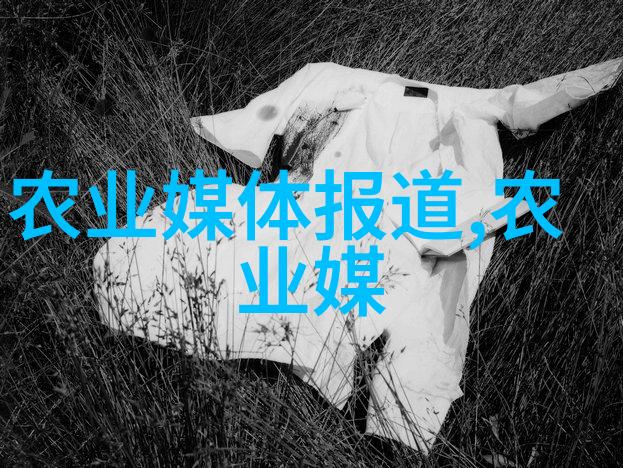 食材市场-香菇价格波动如何在节食季节享受高品质的鲜香