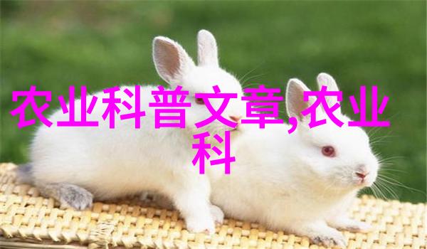 未来农业革命中的人文关怀与科技创新探讨草药种植新趋势
