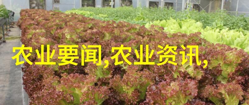 主题养蜂蜜蜂的技巧你需要知道这些建议