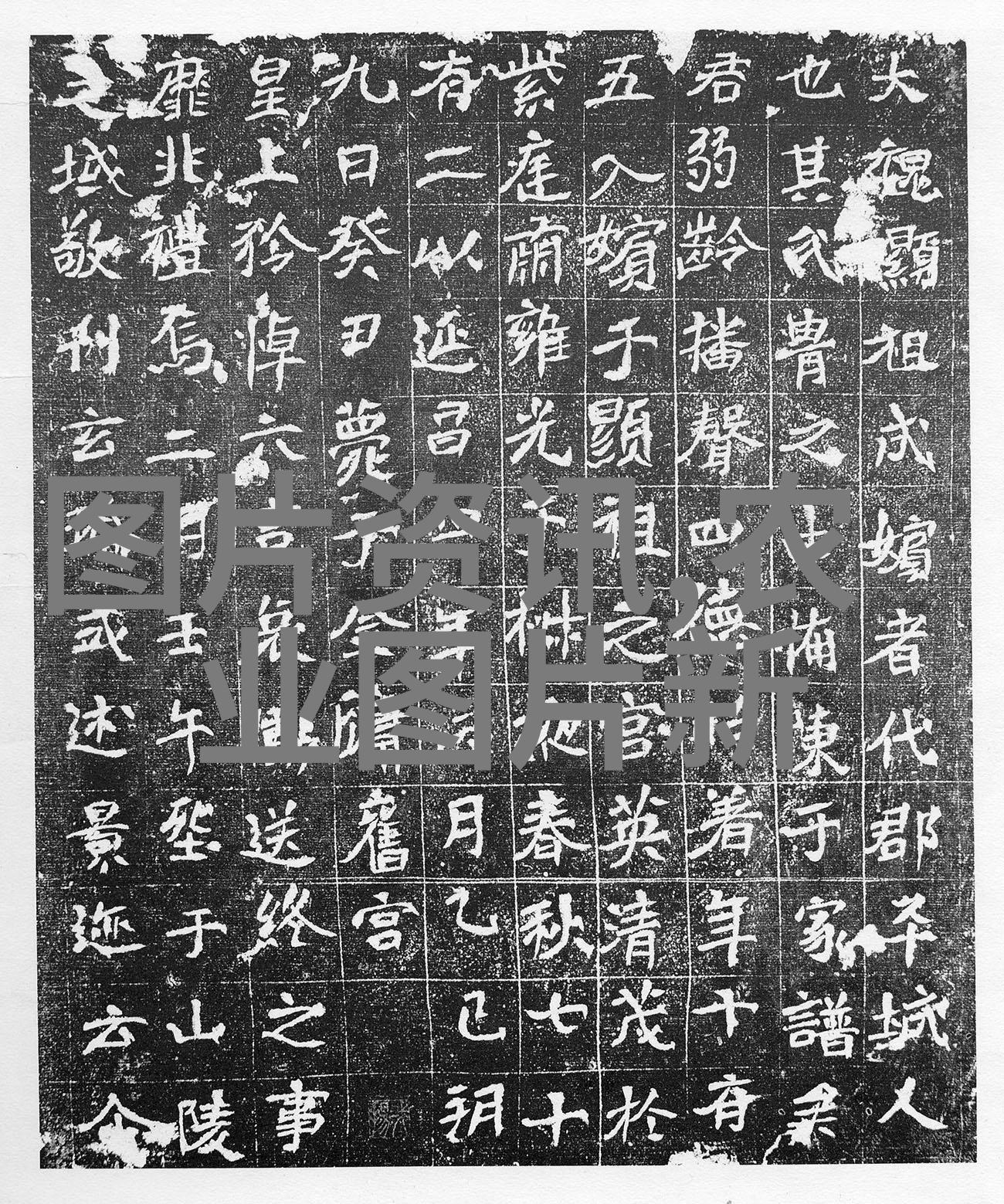 破产线下穷人能起家的10大适合养殖创业项目