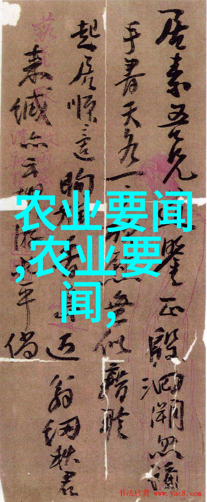 绿色生态保护中国绿色食品网站导览与思考