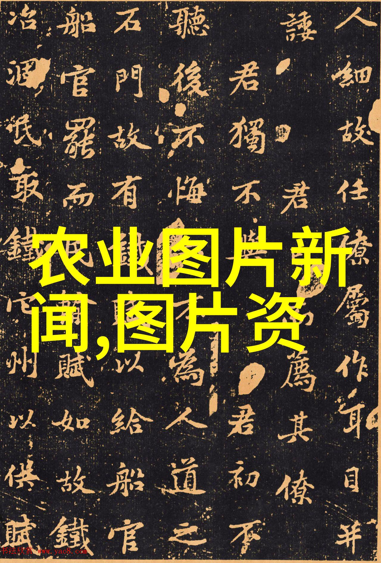 农机市场发展新格局下的智能化与环保趋势探究