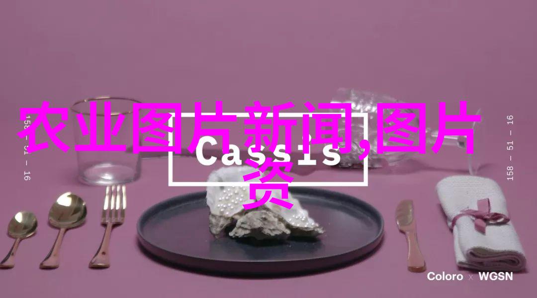 城市农业新趋势如何利用小面积进行有机无土栽培
