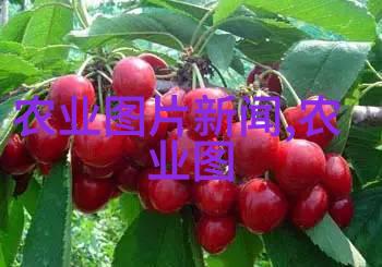 淡水养殖技术概述水生资源的智慧与实践