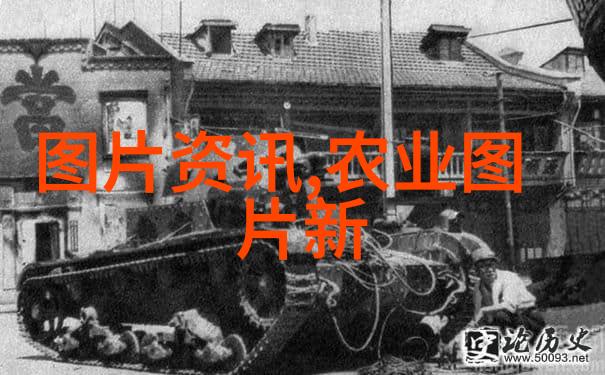 郁金香