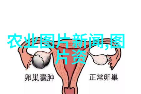 家庭成员参与一起种植有哪些团队协作的好处