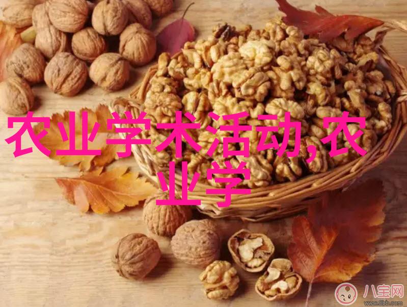 药材之网中国草本交易的纹理与节奏