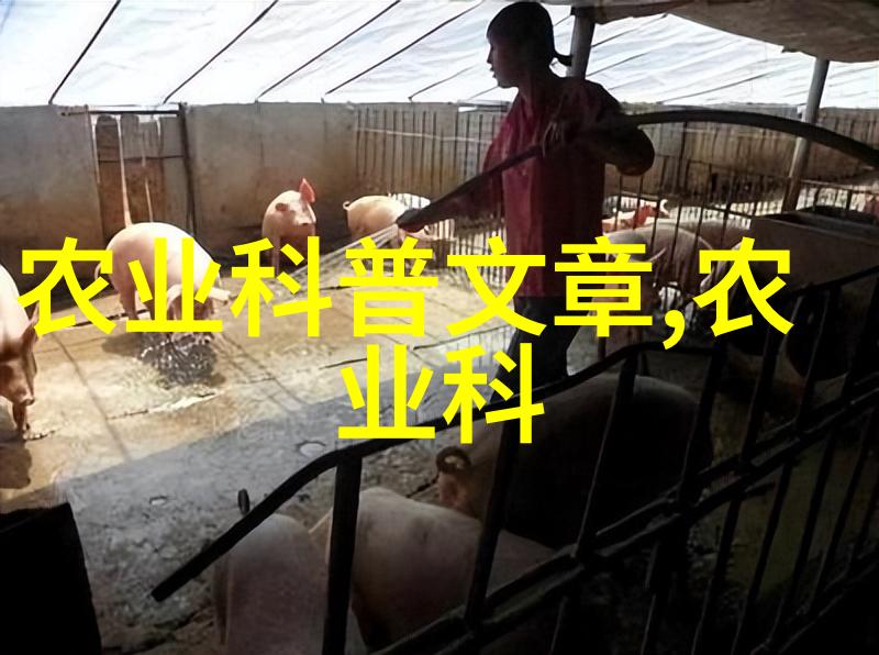秸秆打包机器人高效农业废弃物整理设备