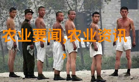 茶叶健康益处绿茶抗氧化力黑茶增肥功效
