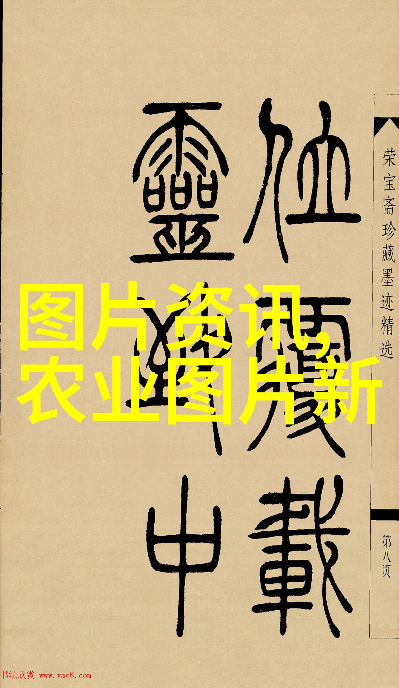 湖南新五丰-追梦者湖南新五丰的农业创新之路